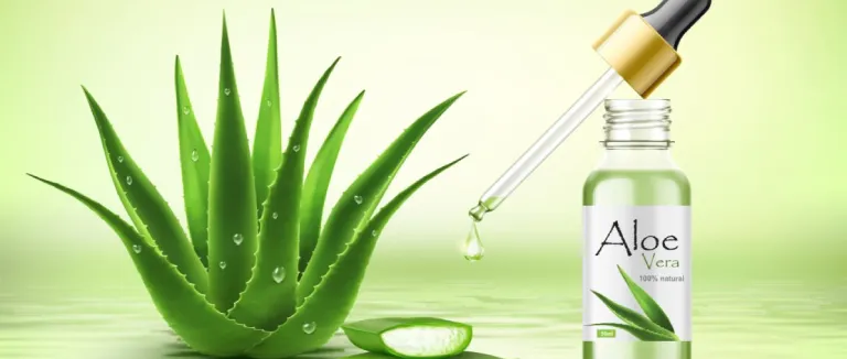 Benefits of Aloe Vera