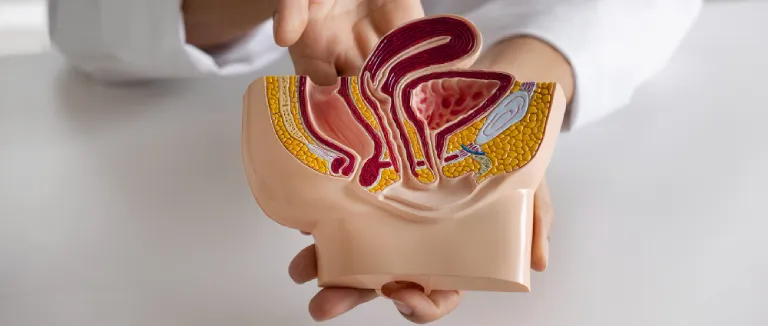 Signs of Bladder Cancer