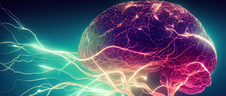 Brain Aneurysm Treatment