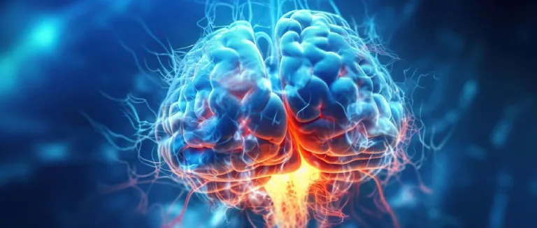 Recovery and Rehabilitation