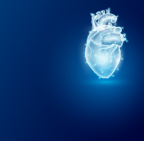 Cardiovascular Surgery