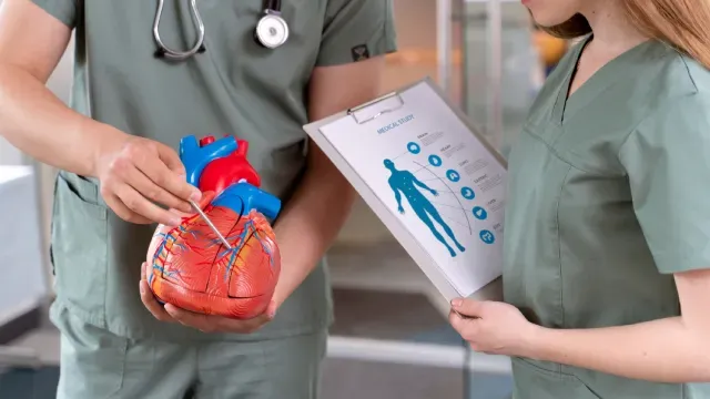 cardiovascular