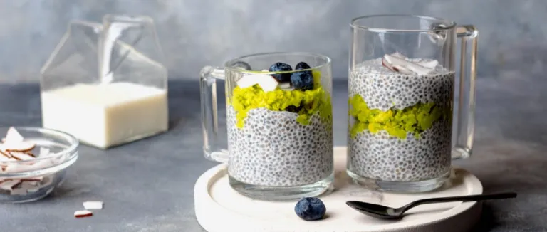 chia-tohumu-faydalari