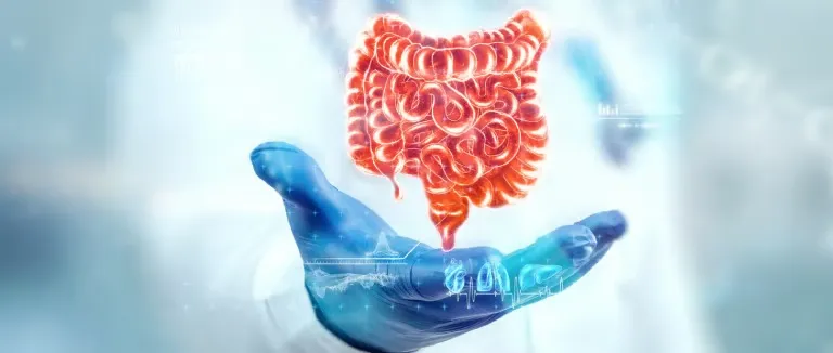 Types of Colorectal Cancer Screening Tests Available at Liv Hospital