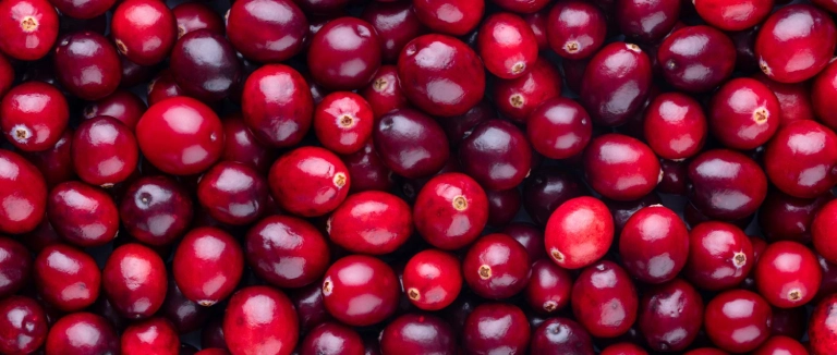 cranberry-takviye