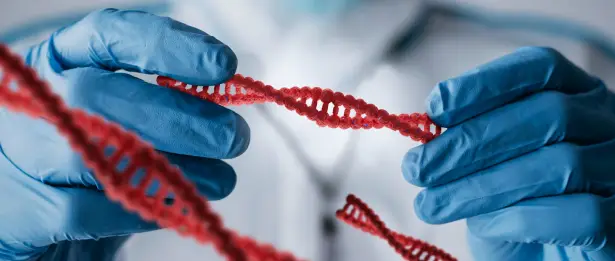 Genetik Hastalıkları