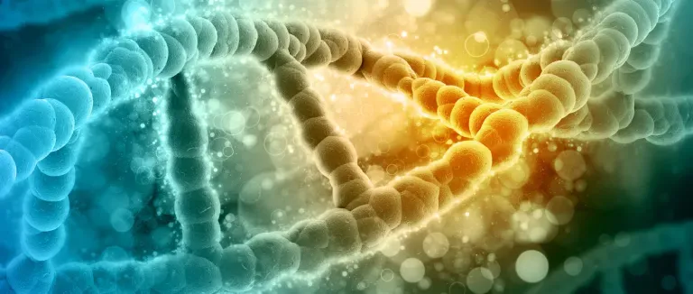 Exosome Therapy in Immune System Disorders