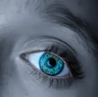 Eye Diseases Eye Diseases