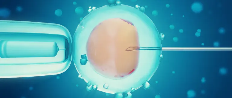 Making the Most of the Break Between Cycles