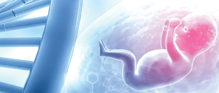 Fetal Intervention in the Womb