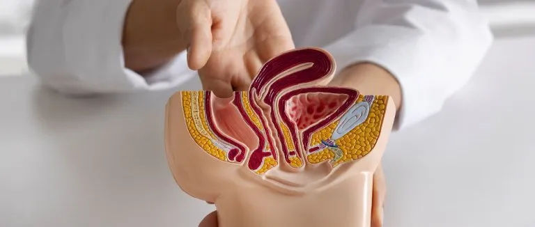 Geçirgen Bağırsak Sendromu Neden Olur?