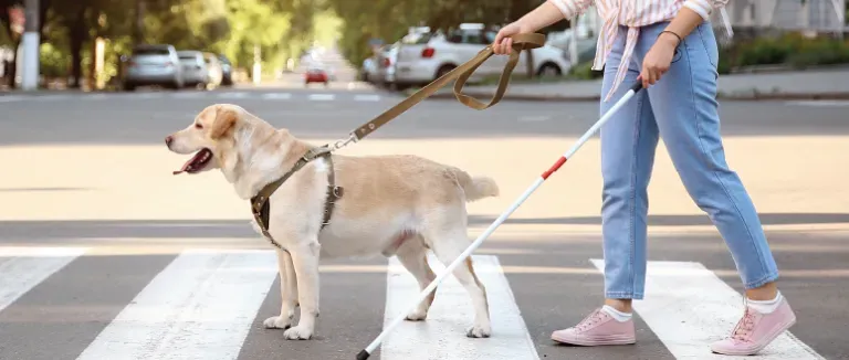 Görme Bozuklukları ve Körlük Riski
