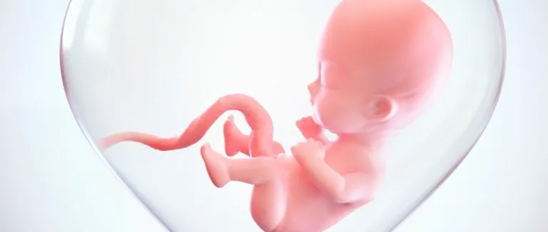 hamilelik belirtileri nelerdir?