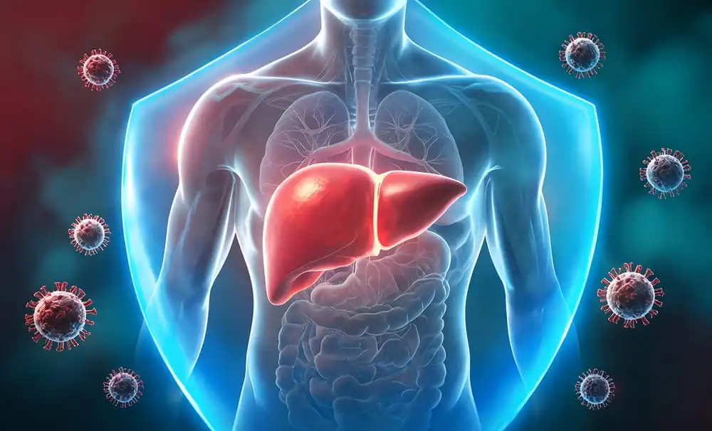 hepatit xəstəliyi