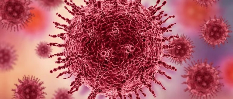 hpv teşhisi