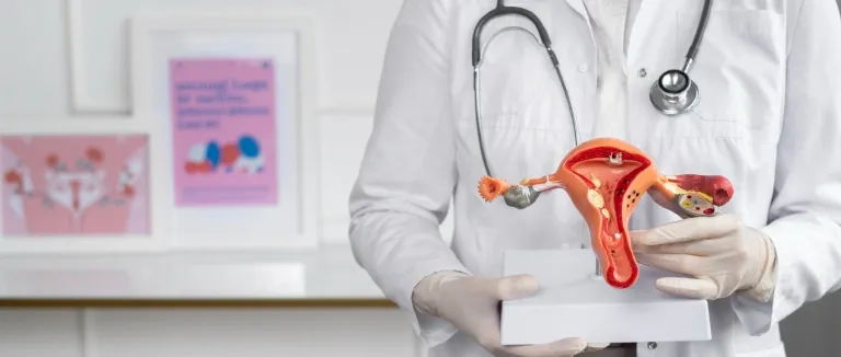 Kızlık Zarı Nedir?