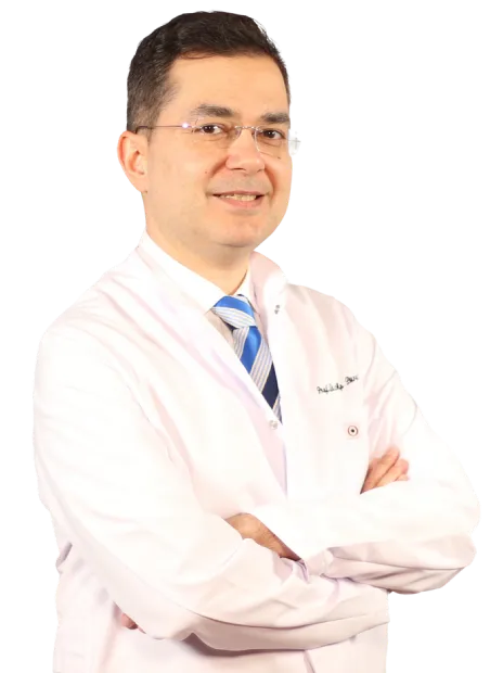 Prof. Dr. Alp Burak Çatakoğlu