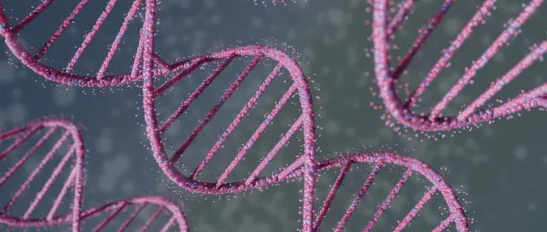 Kemik İliği Kaynaklı Mononükleer Hücre Tedavisi