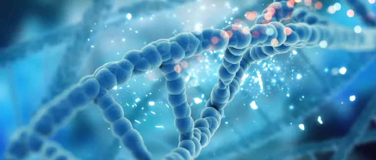 Kıkırdak Dokusu Kaynaklı Kondrosit Tedavisi