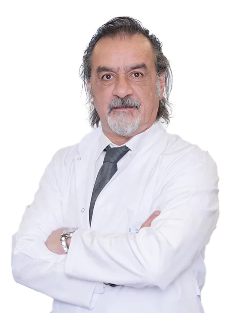 Prof. Dr. Mehmet Volkan Aydın
