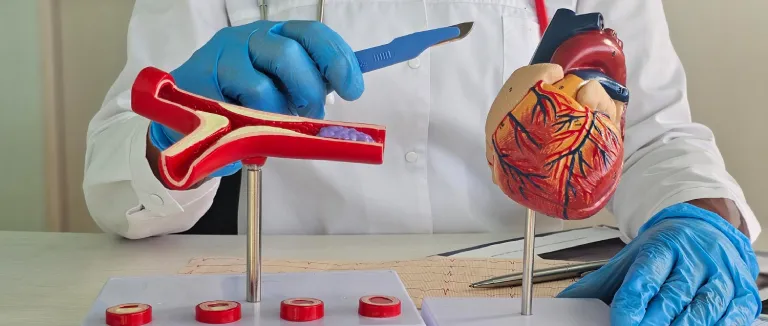 kalp-hastaliklari-tedavisi