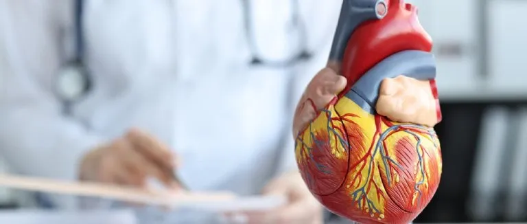 Kalp Ritim Bozukluğu Tedavisi