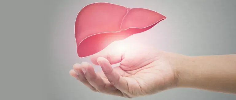 Karaciğer Sağlığını Önemseyin!