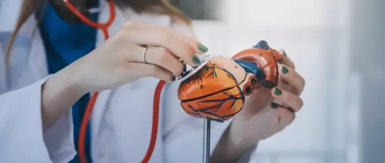 Kardiyolojide Kullanılan Ablasyon Türleri