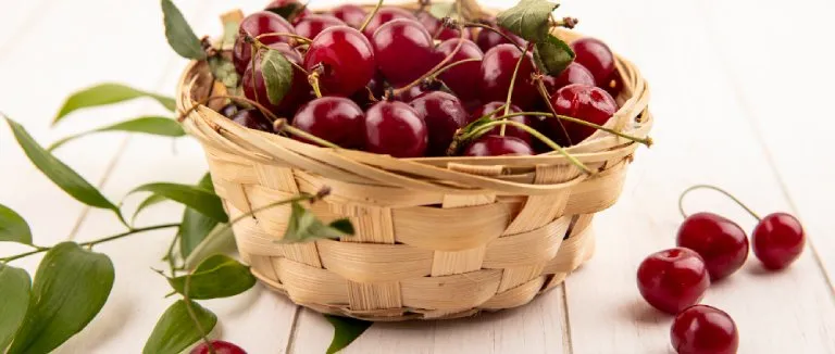 kiraz-sapi-cayi-faydalari