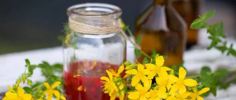 Kırmızı Kantaron Yağı