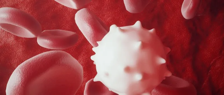 kronik-lenfositik-losemi-tedavisi