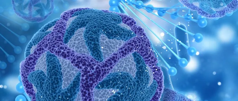 kronik-miyeloid-losemi-belirtileri