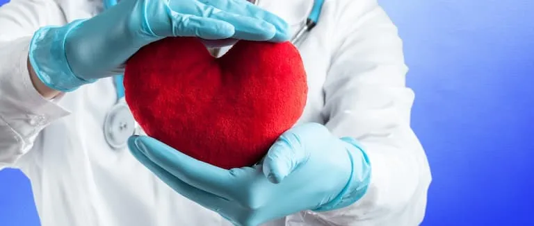 LDL Kolesterol Nedir? Nasıl Düşürülür?