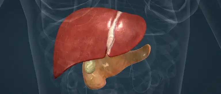 Karaciğerde Leke nedir?
