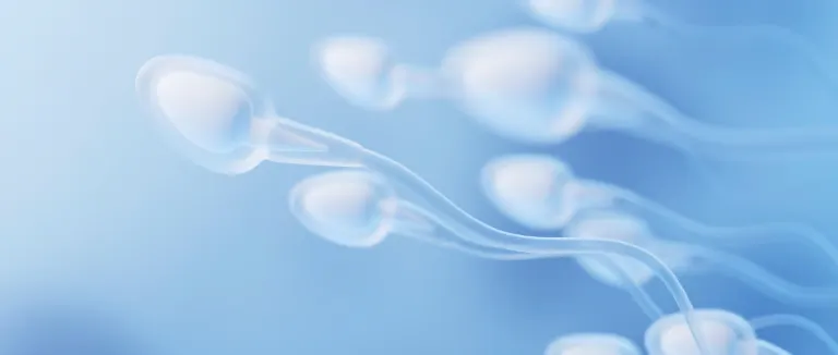Low Sperm Count