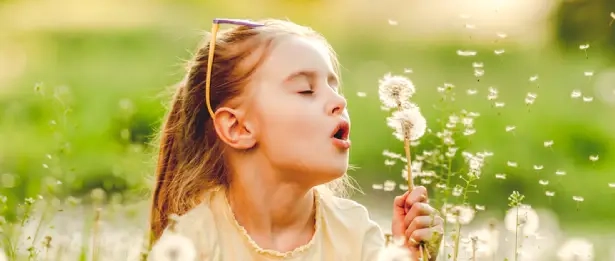 Maladies Allergiques