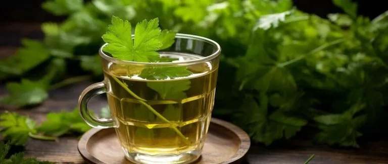 maydanoz-suyu-faydalari