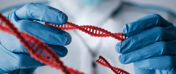 Medical Genetics