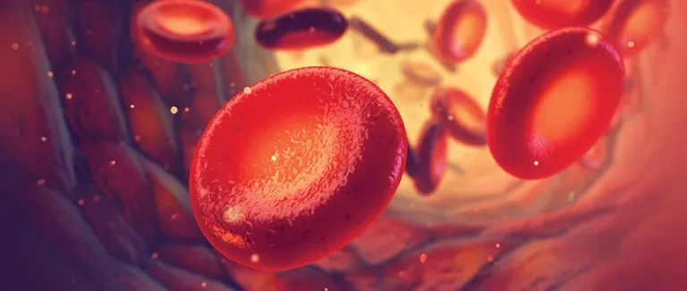 Mediterranean Anemia (Thalassemia)