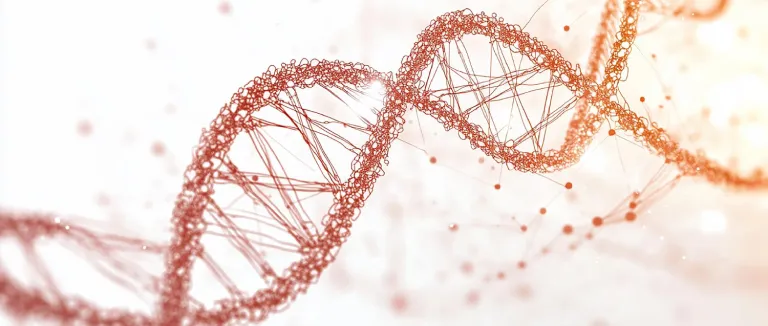 High-Standard Healthcare Solutions: Liv Hospital GMP Laboratory