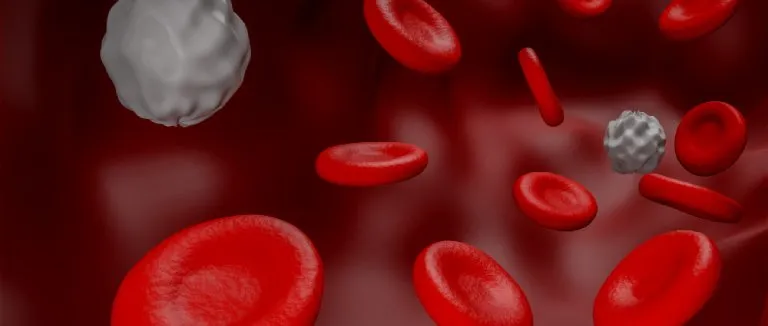 Understanding Myelodysplastic Syndromes: A Comprehensive Guide