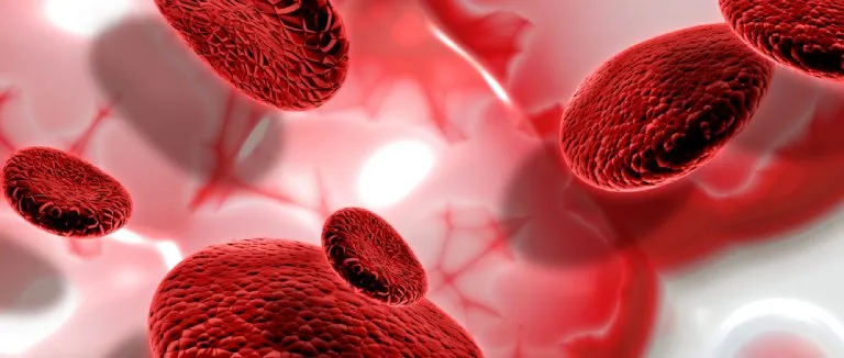 Treatment Approaches for Myelodysplastic Syndrome