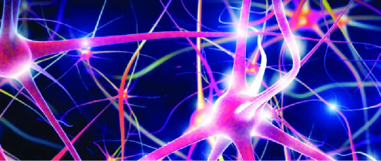 Sinir Sistemine Yılda Bir Kez Nöro Check Up