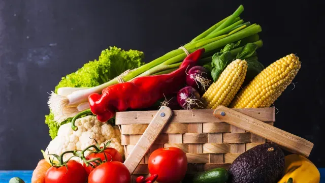 nutrition-and-dietetics