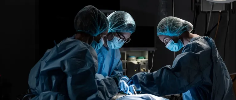 The types of bariatric surgeries in Turkey