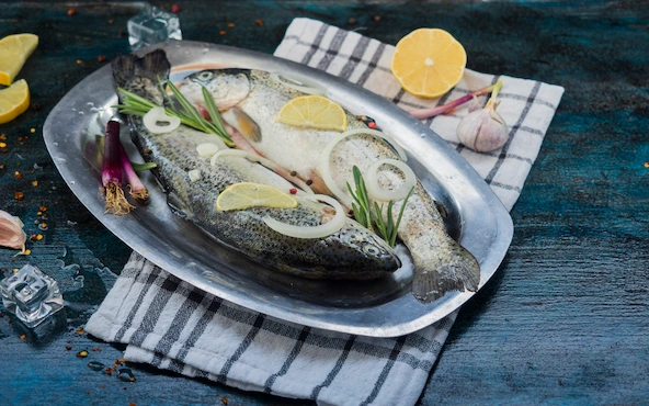 palamut balığı