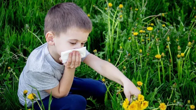 pediatric-immunology-and-allergy-diseases