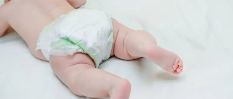 Pişik Çeşitleri Nelerdir?