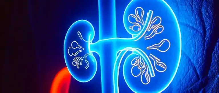 Polikistik Böbrek Hastalığı Nedir?