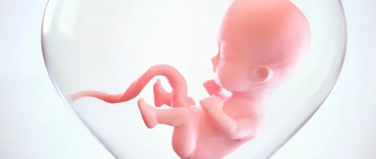 Беременность: какие симптомы?